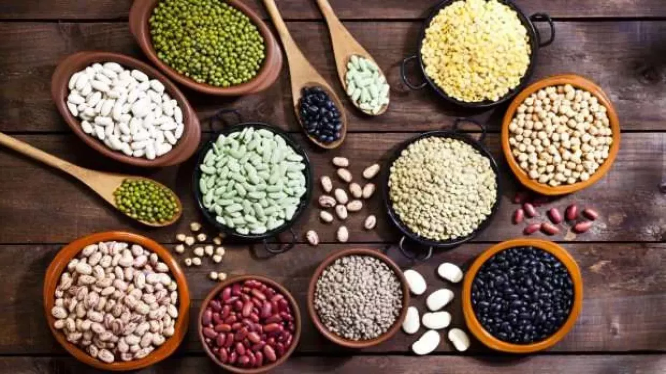 بدن ما روزانه به چه مقدار آهن نیاز دارد ؟