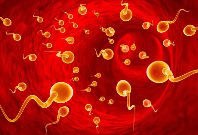 مکمل های غذایی برای افزایش اسپرم + معرفی ۹ مکمل طبیعی