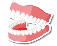 آشنایی با جرم گیری دندان و روش های انجام آن