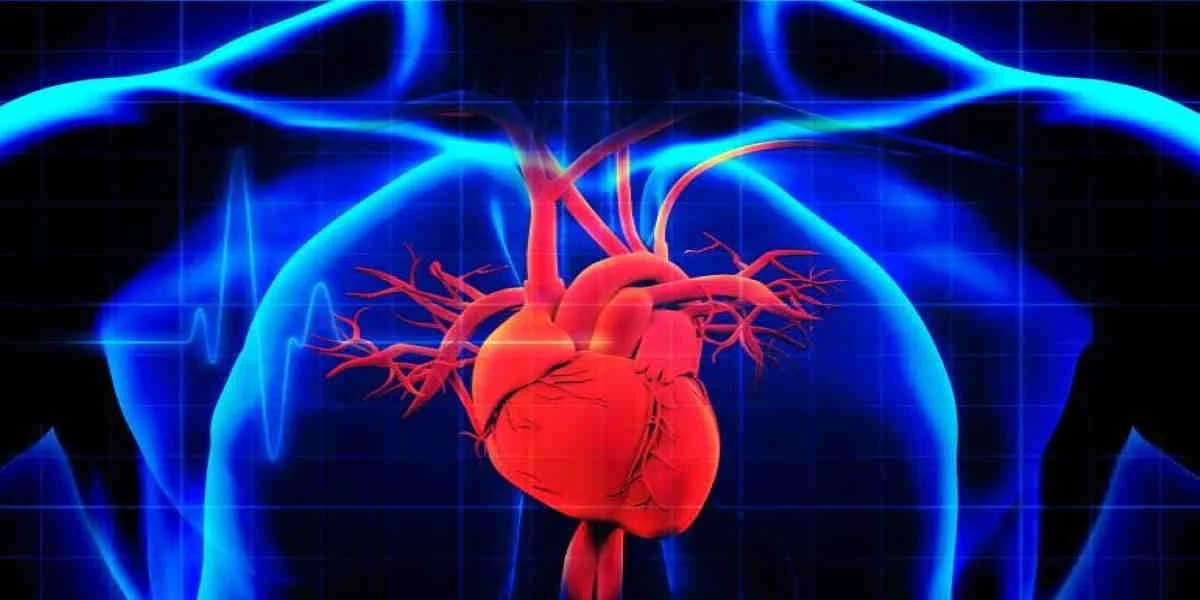 عکس قلب انسانهای قلب